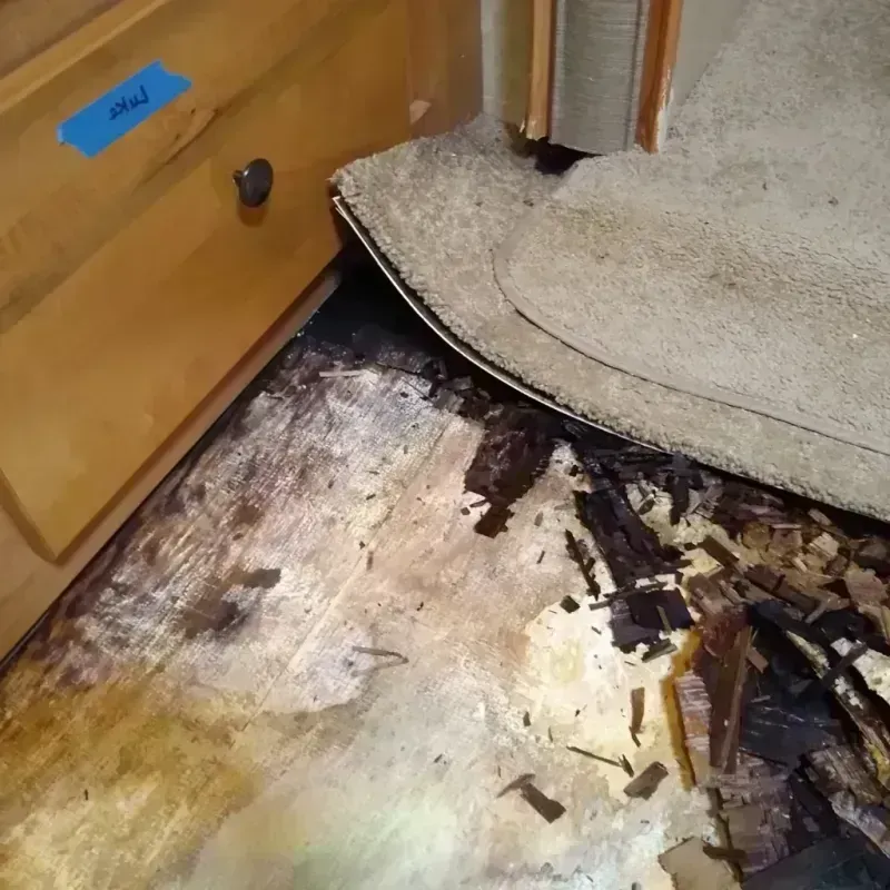 Best Wood Floor Water Damage Service in Anderson, CA